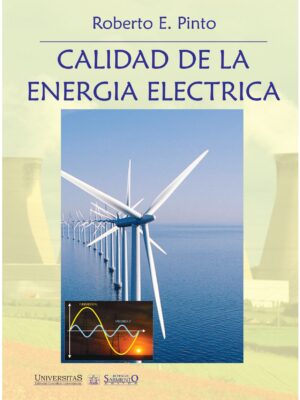 Calidad de la Energia Electrica. Roberto Pinto